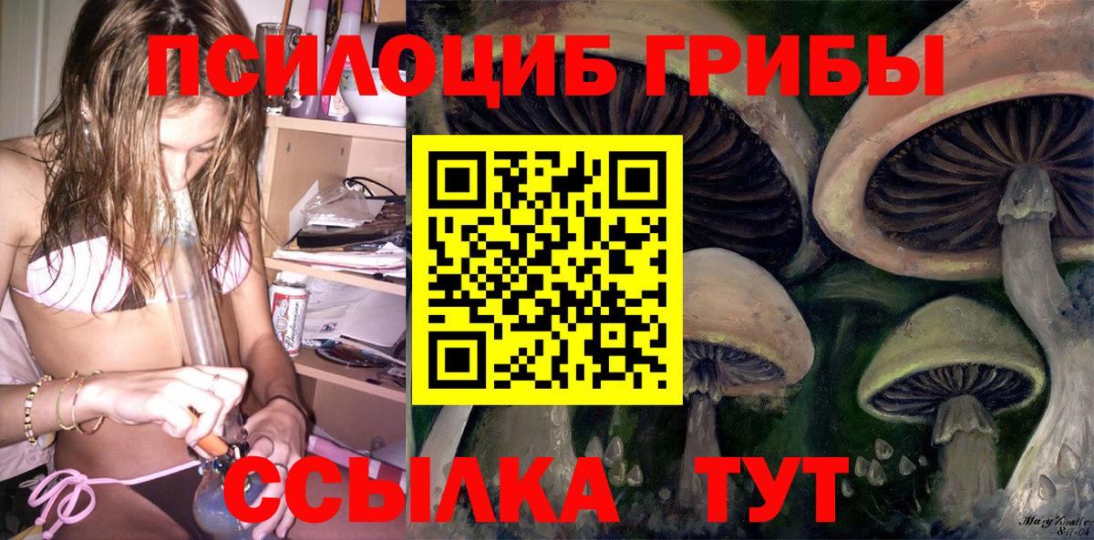 Волгодонск  Галлюциногенные грибы Psilocybine cubensis  Псилоцибиновые грибы мухоморы  Вход с VPN 